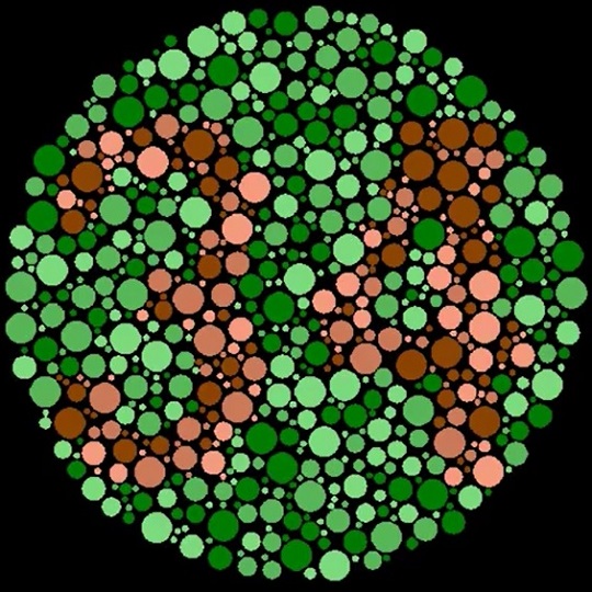 PseudoIsochromatic Plate (PIP) Color Vision Test